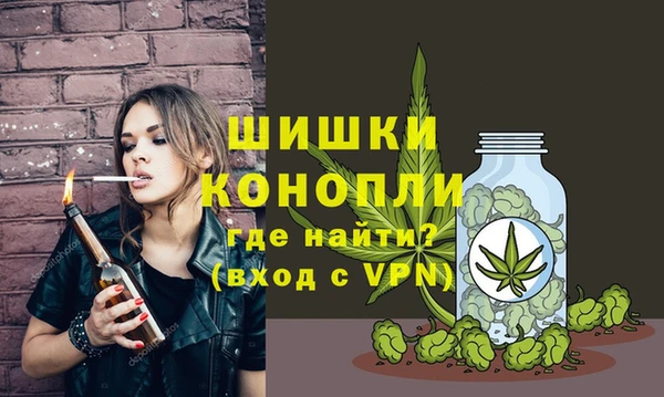 твердый Алзамай